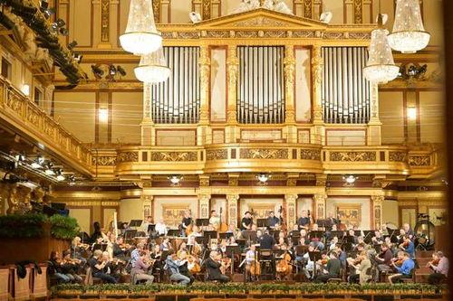 最新爆料维也纳视频大全,揭秘这座音乐之都的精彩瞬间  第1张